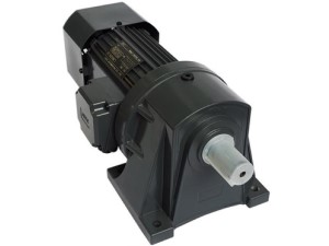 250-1500W horizontal motor