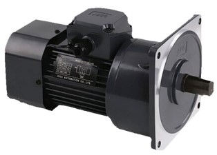 250-1500W vertical motor